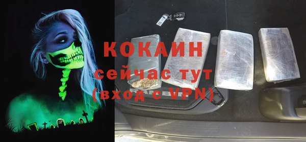 COCAINE Богородицк